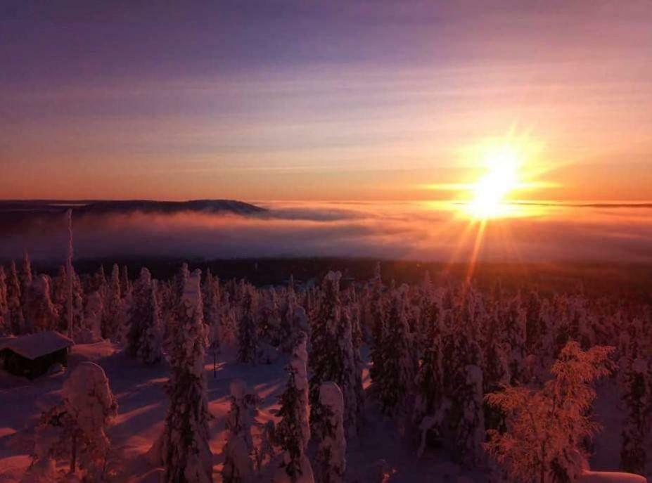 Arcticson / Pohjosen Poika Lägenhet Syöte Exteriör bild